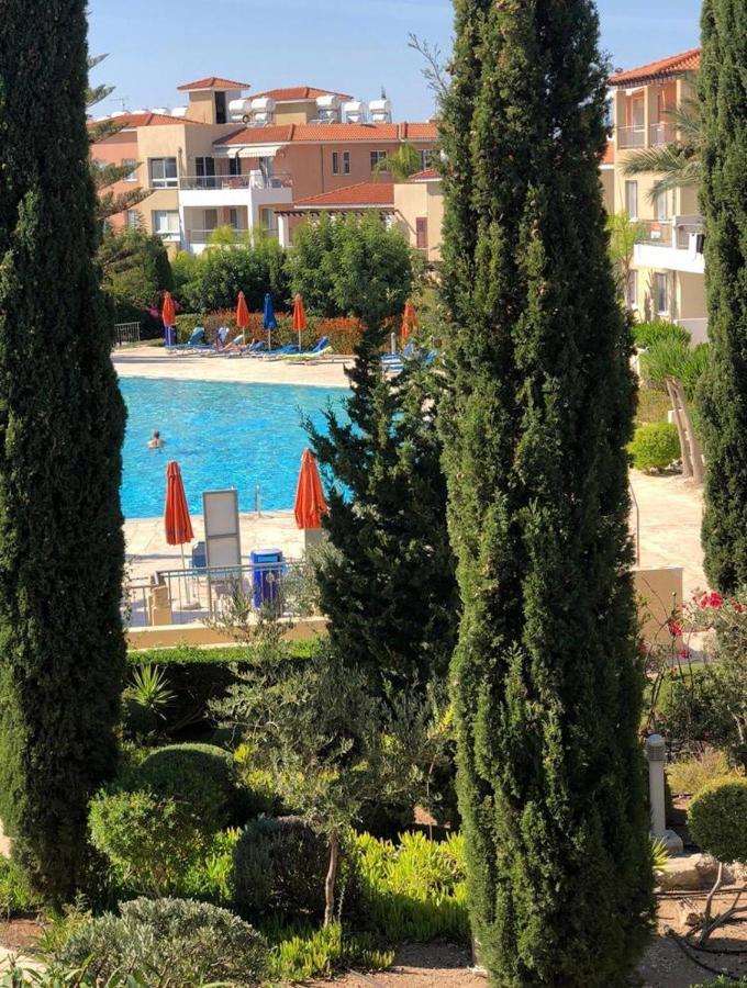 הוילה Paphos Owls Nest Townhouse מראה חיצוני תמונה