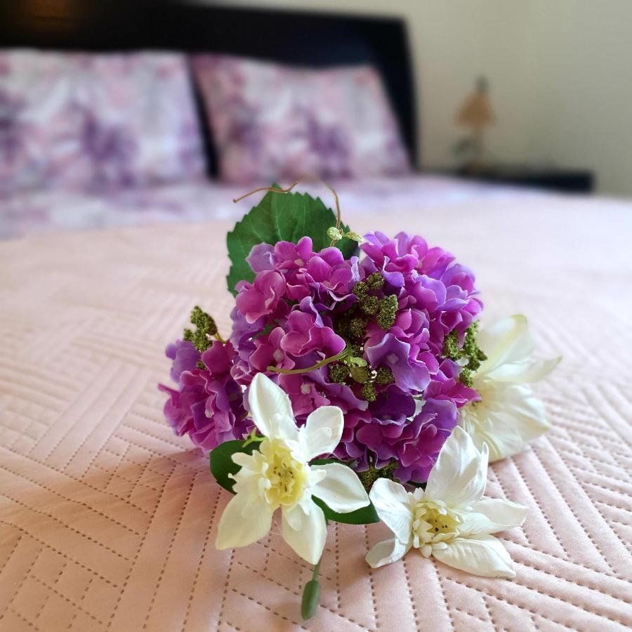 הוילה Paphos Owls Nest Townhouse מראה חיצוני תמונה