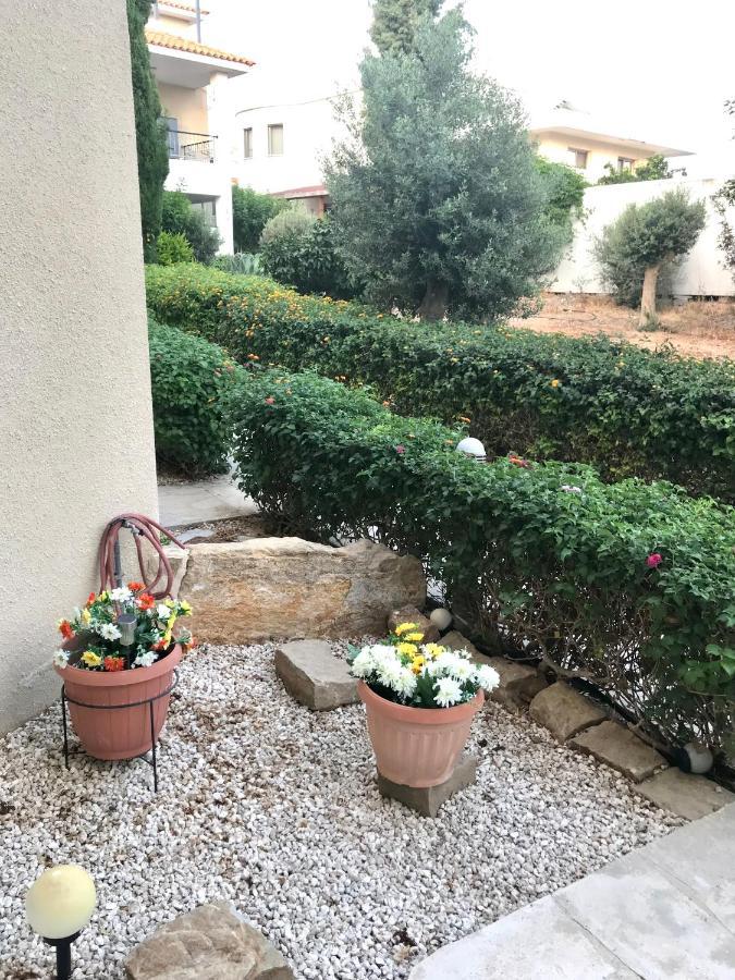 הוילה Paphos Owls Nest Townhouse מראה חיצוני תמונה